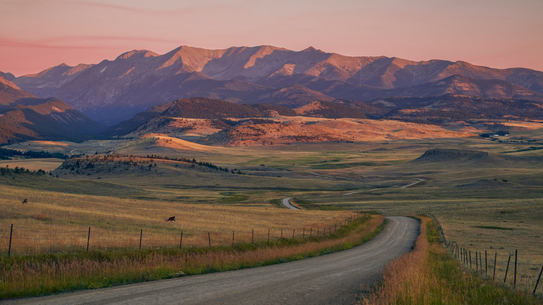 A winding road leading through fields to Montana's Crazy Mountains range during sunrise.