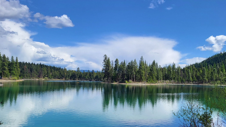 Sunny view of Middle Thompson Lake in Logan State Park