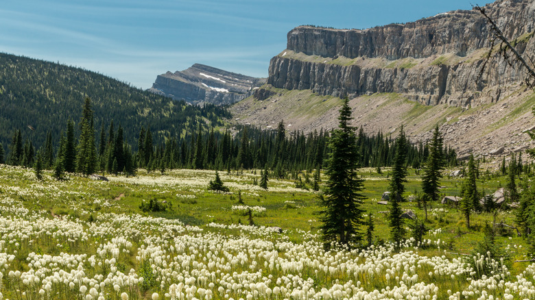Chinese Wall mountains in the Bob Marshall Wilderness near Conrad, MT.