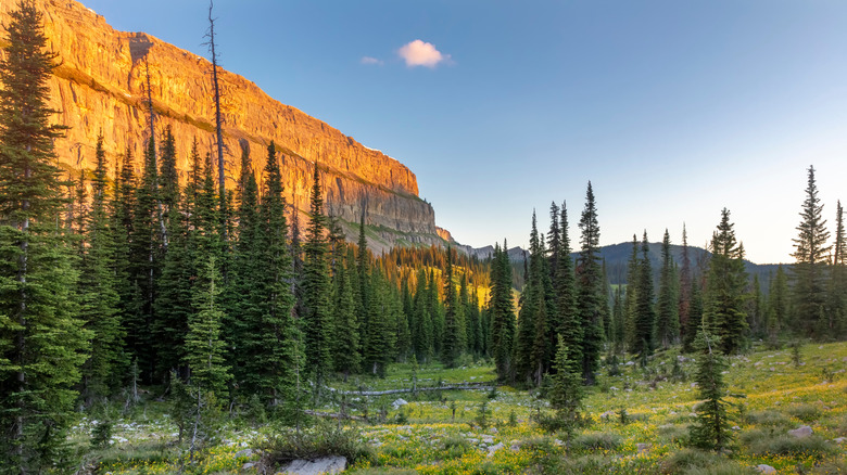 Sunrise on the Chinese Wall in Bob Marshall Wilderness