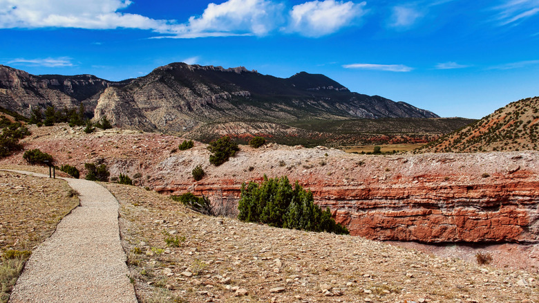 A walking path skirts a bluff under the Pryor Mountains