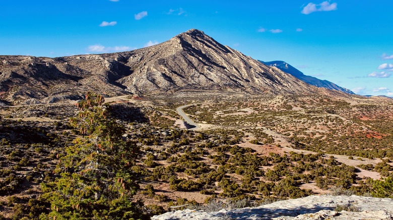 A rugged, rocky mountain rises under a blue sky in Montana