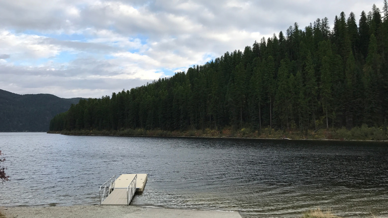 Pine trees lining Tally Lake, Montana on a cloudy day