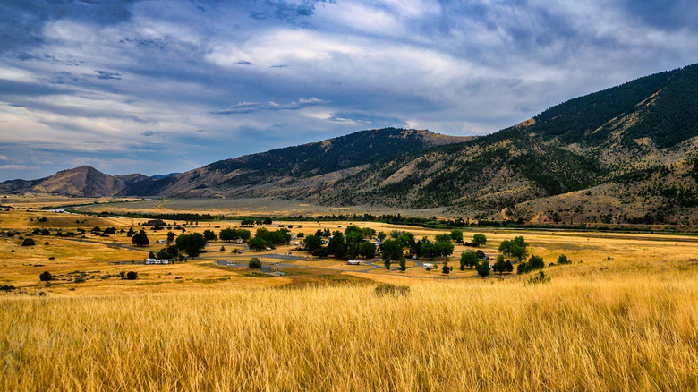 Golden grass sways at Lewis and Clark Caverns State Park's campground below forested mountains and big blue sky