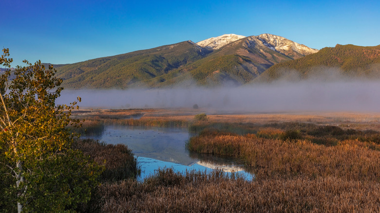 Wetland landscape with mist surrounded by mountains