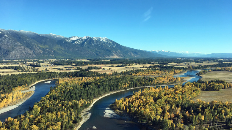 Mountain and trees in the fall, Kalispell, Montana