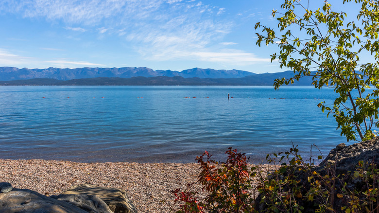 The rocky shore and clear water at Flathead Lake in Montana
