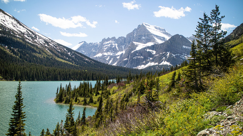 Grinnell Mountain towers over Glacier National Park