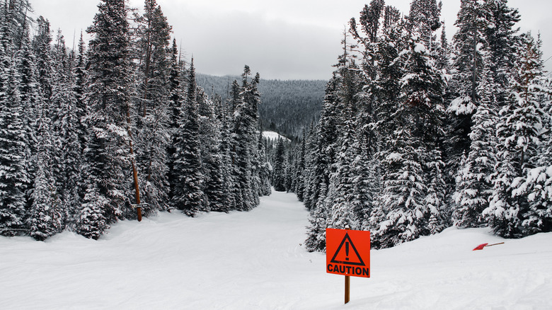 View of a black diamond run at Showdown, Montana