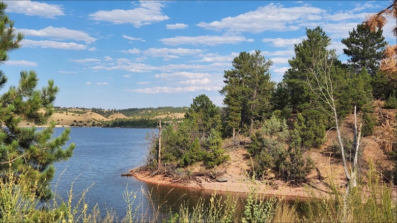 Trees on the shoreline of a quiet cove at Tongue Reservoir