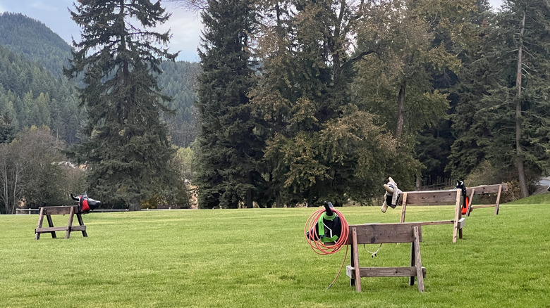 Wooden cow dummies for roping practice standing in a green pasture with trees in the background at Bar W Guest Ranch