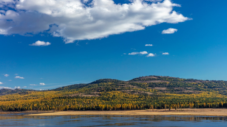 View of wildlife refuge in Marion, Montana