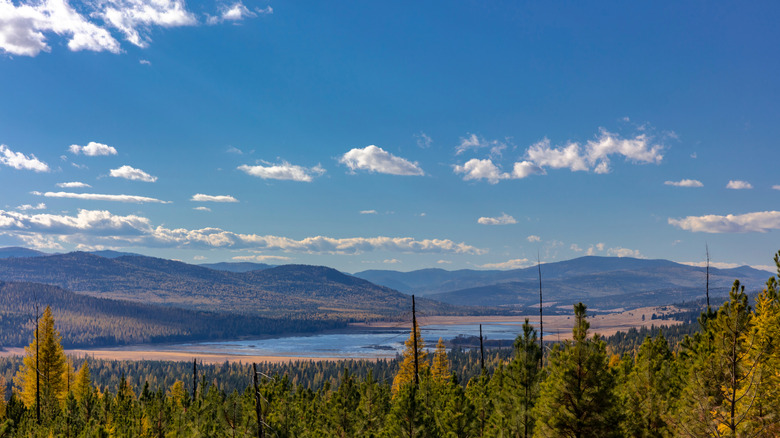 View overlooking lake in Marion, Montana