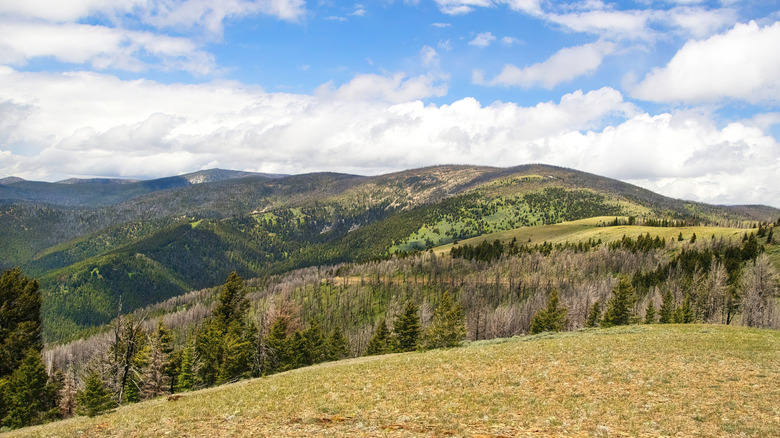 mountains around White Sulphur Springs, Montana