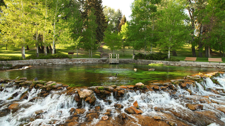 Geese float on man-made pool with cascading water at Giant Springs State Park