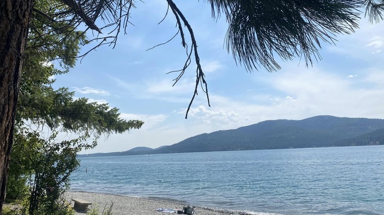lake with mountain in the background and tree in front