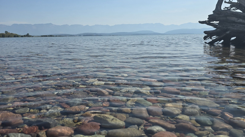 The pebbles and rocks lining Somers Beach's shoreline