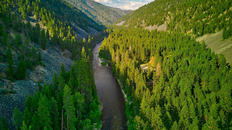 River through Lolo National Park