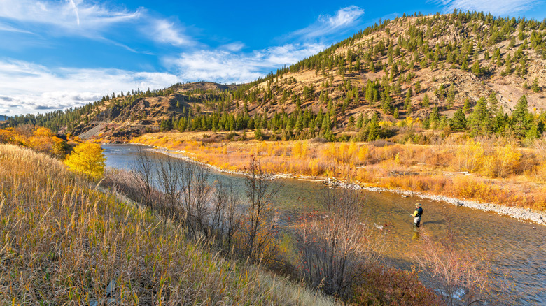 Man fishing in river in Lolo National Forest