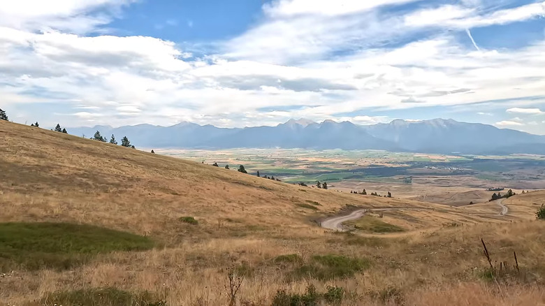 The road winding through the CSKT Bison Range