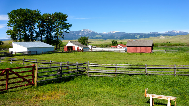 landscape around the Grant-Kohrs Ranch in Deer Lodge, Montana