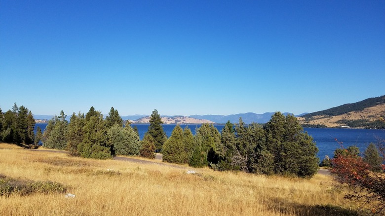 Evergreen trees on the dry hill at Lone Pine State Park, Montana, with Foys Lake in the background
