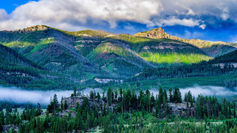 Low clouds on the Beartooth Highway by Cooke City