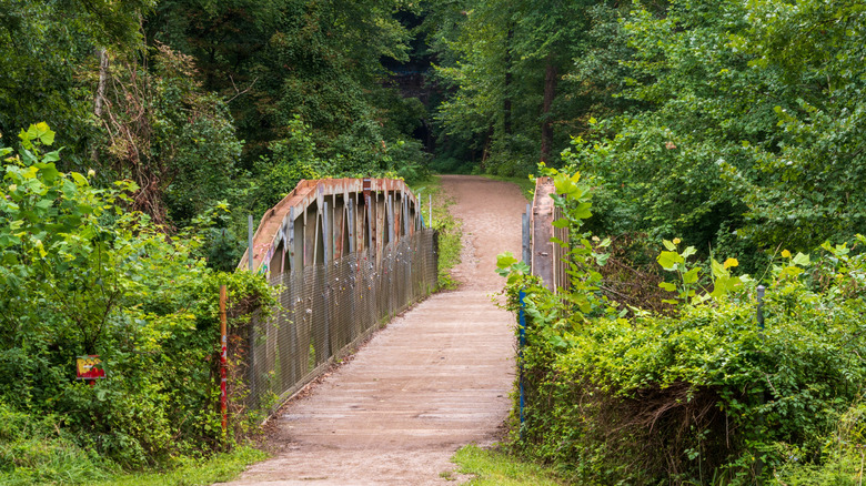 Wooden bridge lush foliage Moonville Rail Trail