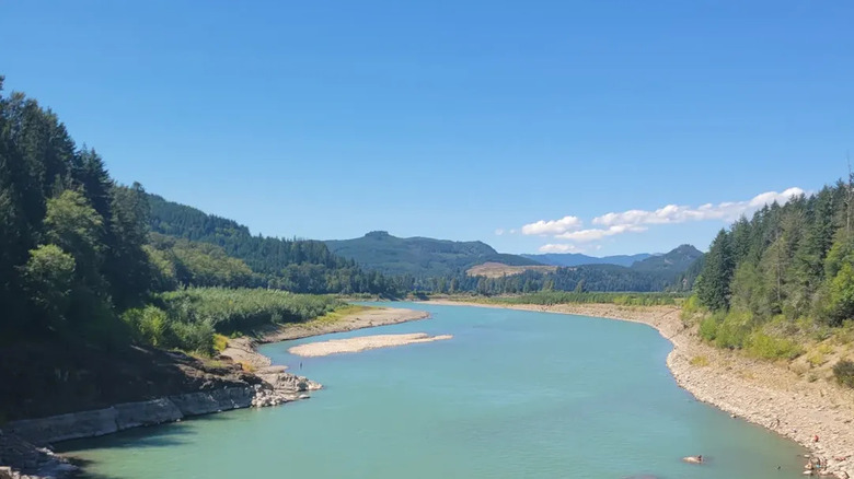 Aerial view of Riffe Lake, with trees on either side