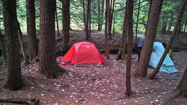 Tents set up at Moshannon State Forest