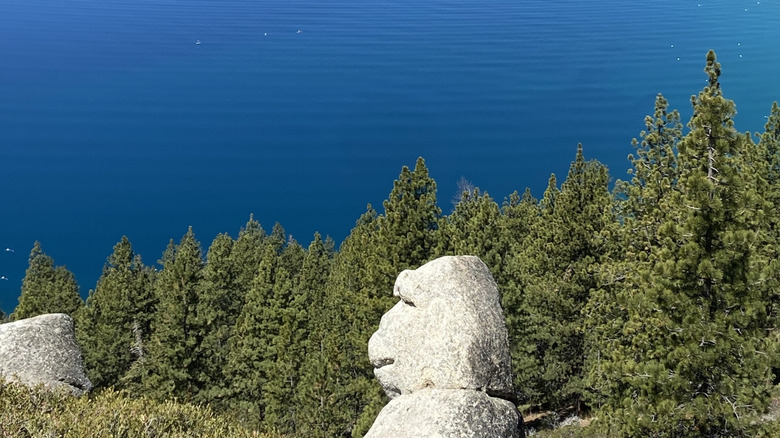 A rock that resembles a money sits atop a vantage point overlooking a pine forest and Lake Tahoe's north shore.