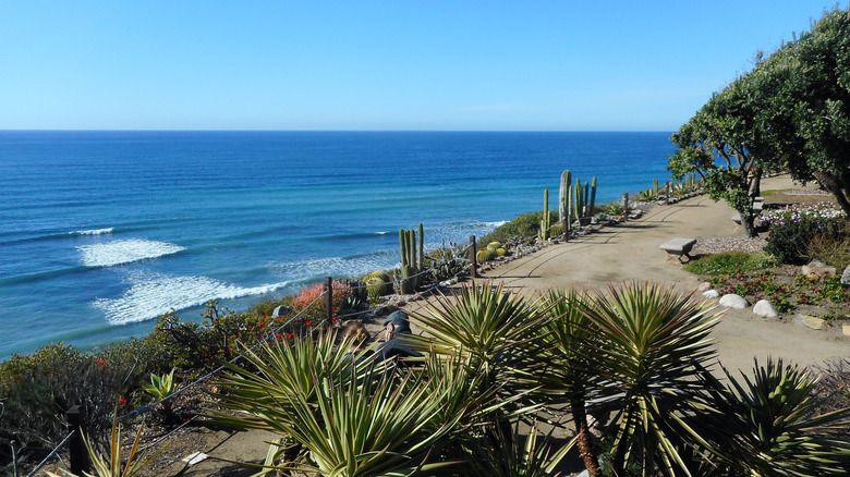 Ocean views from Encinitas' Meditation Gardens in North San Diego County