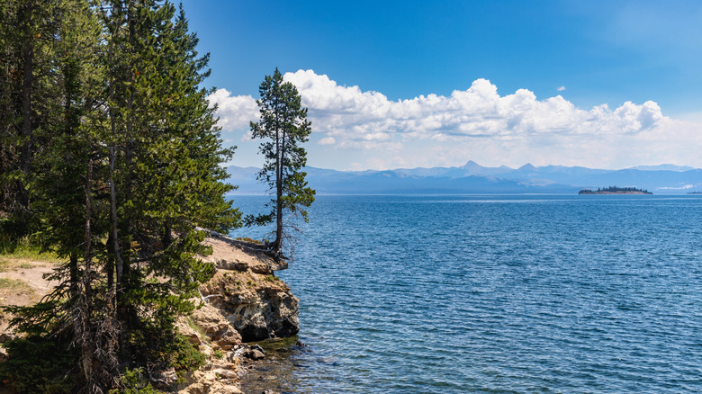 Trees along the edge of Yellowstone Lake with mountains in the distance on a sunny day