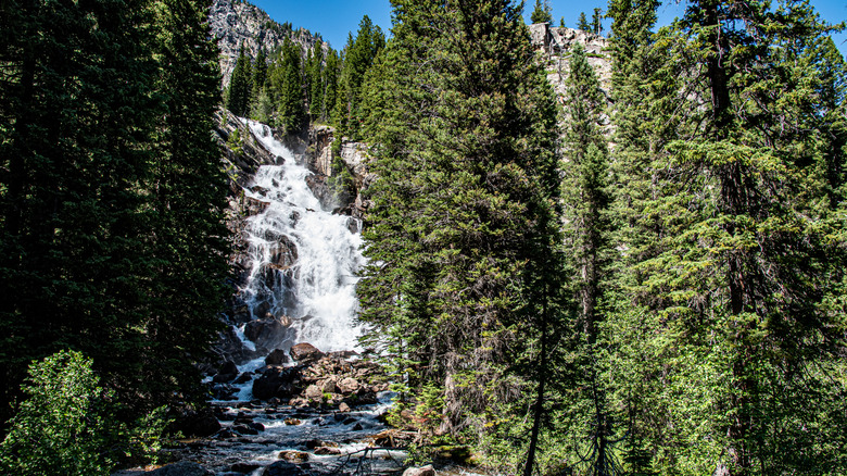 Hidden falls in Grand Teton National Park
