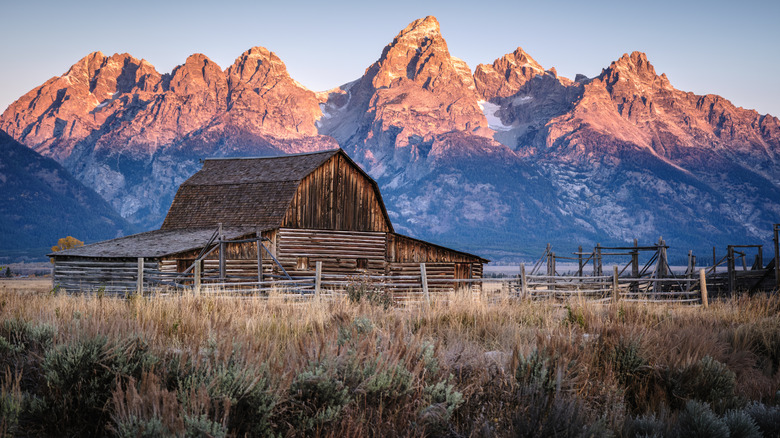 Sunrise at Mormon Row, with the snow-capped mountains of the Teton Range in the background