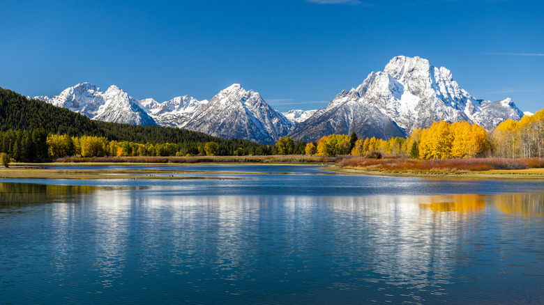 A view of Mount Moran from Oxbow Bend