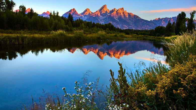 The Grand Tetons reflecting Schwabacher Landing at sunrise
