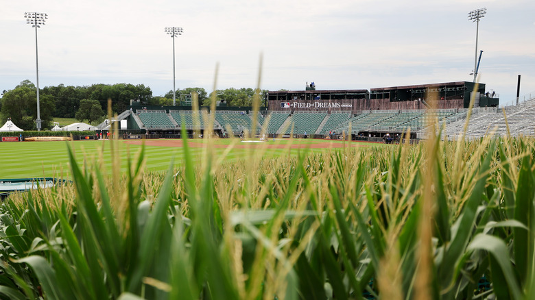 Gorgeous view of the Field of Dreams through the corn stalks prior to the game between the Cincinnati Reds and the Chicago Cubs on August 11, 2022 in Dyersville, Iowa.