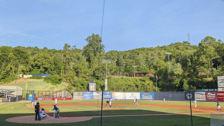 View of McCormick Field from the bleachers through netting during an Asheville Tourists game on a sunny day with the beautiful Blue Ridge Mountains in the background