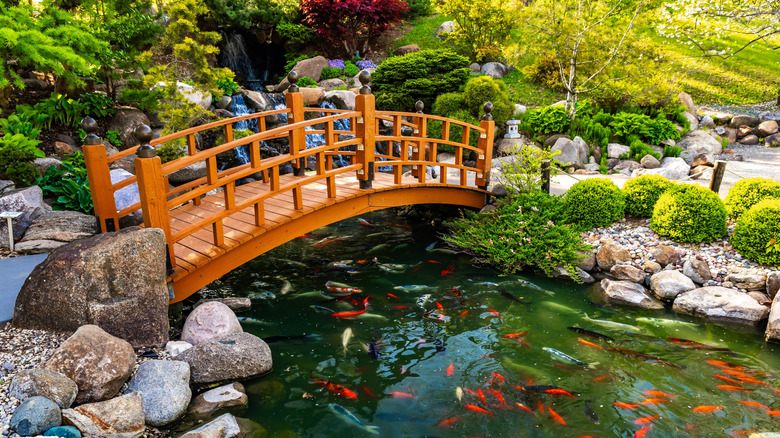 A Japanese style koi pond and wooden bridge at the Dubuque Arboretum and Botanical Gardens