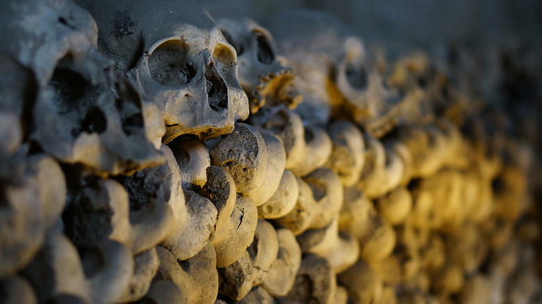 Skulls in the Fontanelle Cemetery
