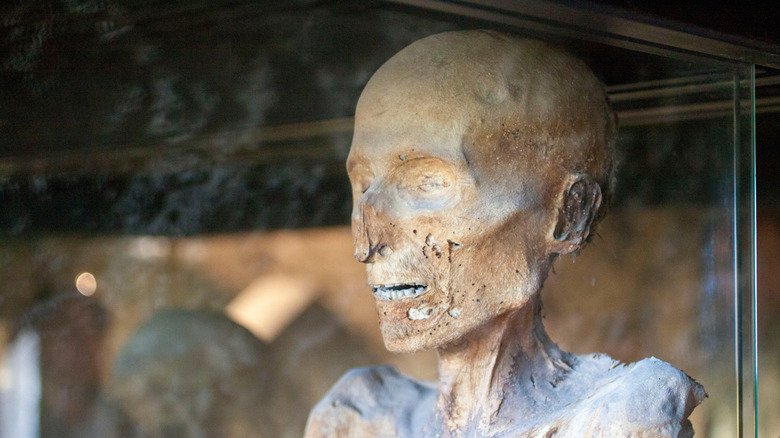 Preserved face of mummy at the museum of mummies, Ferentillo