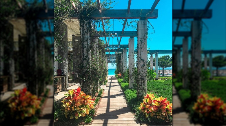 Glossy Bay Marina gardens