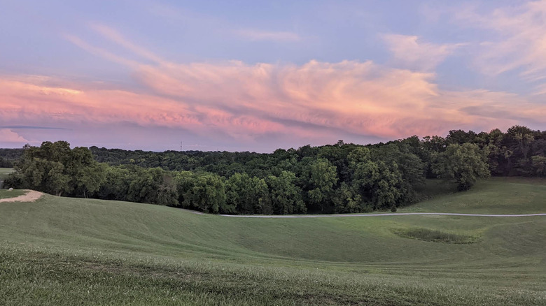 A field at Taylor Mill Pride Park, with trees in the background, beneath a colorful sky at sunset.