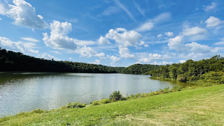 A blue sky with cotton white clouds over a lake in Versailles State Park