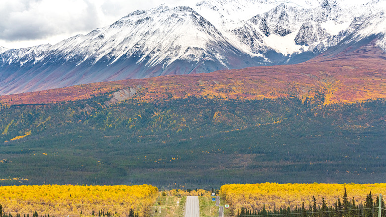 Kluane National Park and Reserve in the Yukon Territory, Canada