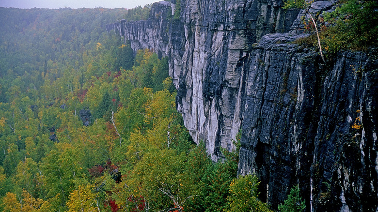 Cliffs and trees on Manitoulin Island, Ontario, Canada