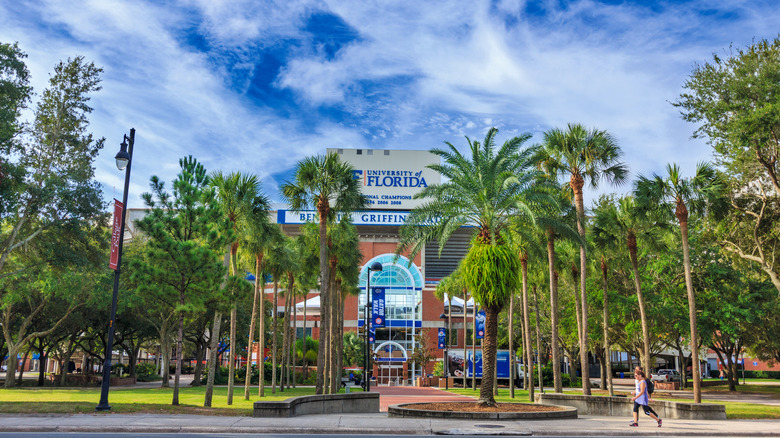 Ben Hill Griffin Stadium fronted by lush palm trees and walkway
