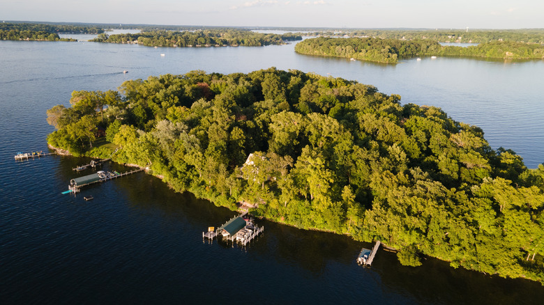 Aerial view of lush green island on Lake Minnetonka covered with trees and docks