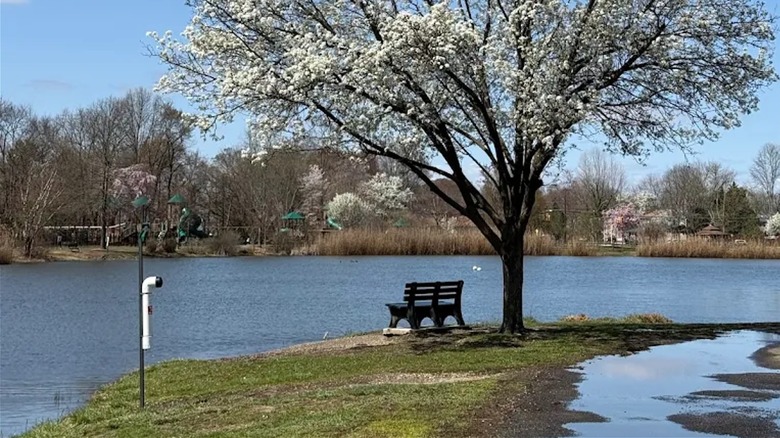 View of park bench and water at Laurel Acres park in Mount Laurel, NJ